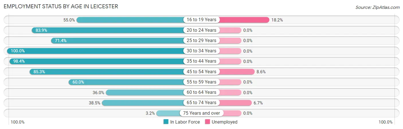 Employment Status by Age in Leicester