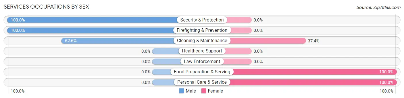 Services Occupations by Sex in Lincolndale