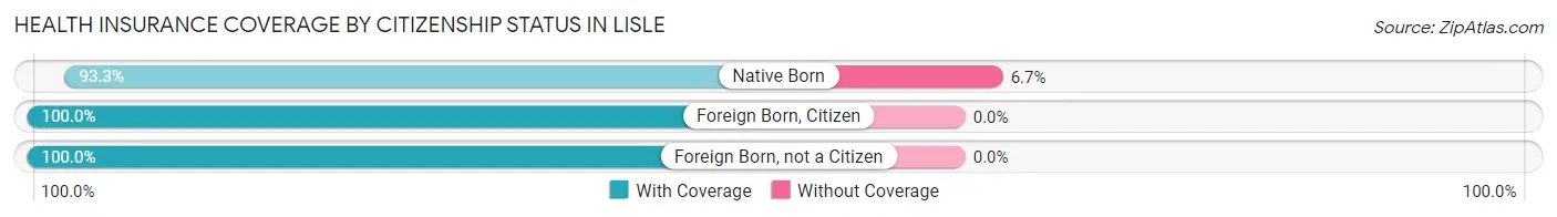 Health Insurance Coverage by Citizenship Status in Lisle