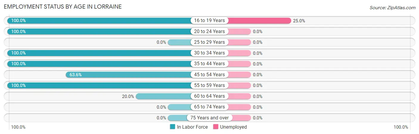 Employment Status by Age in Lorraine