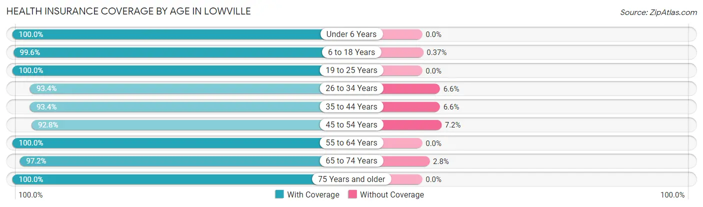 Health Insurance Coverage by Age in Lowville