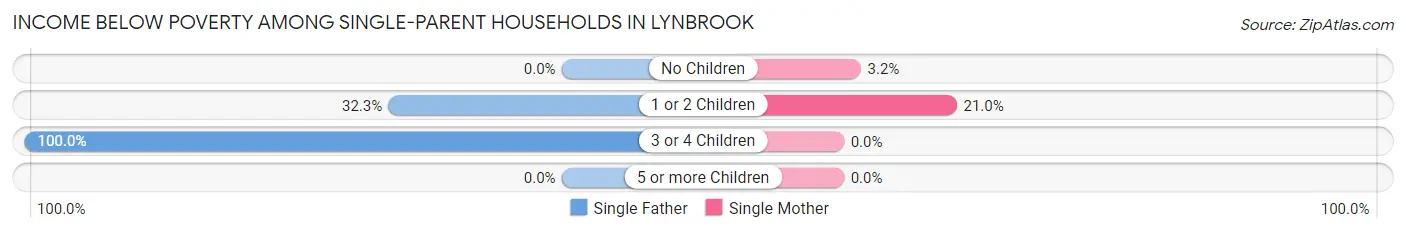 Income Below Poverty Among Single-Parent Households in Lynbrook