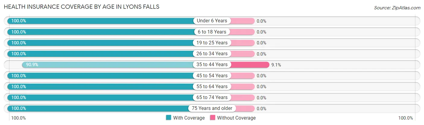 Health Insurance Coverage by Age in Lyons Falls