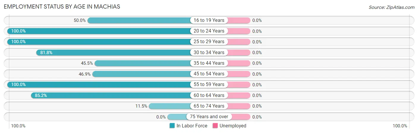 Employment Status by Age in Machias