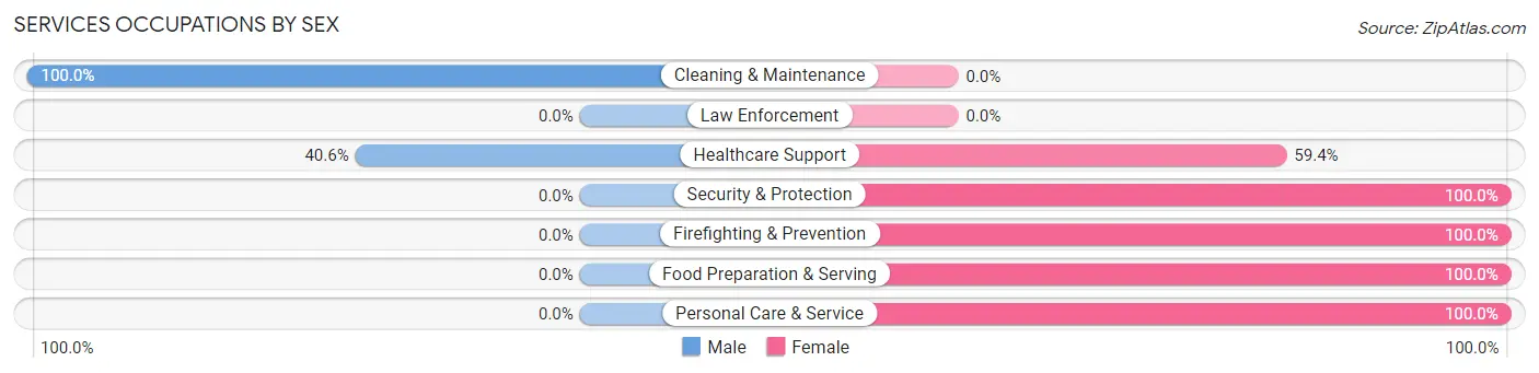 Services Occupations by Sex in Madrid