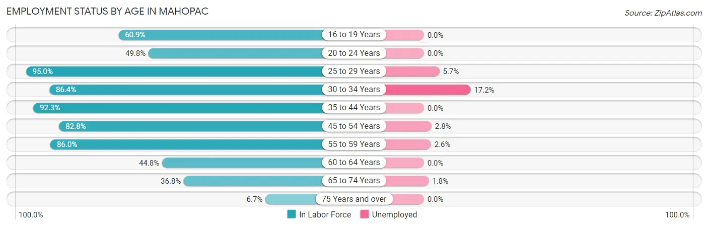Employment Status by Age in Mahopac