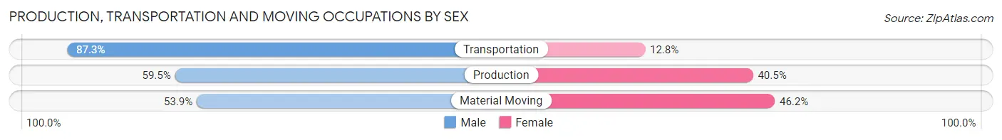 Production, Transportation and Moving Occupations by Sex in Mahopac