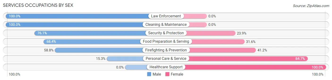 Services Occupations by Sex in Mahopac