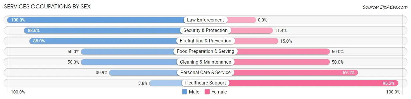 Services Occupations by Sex in Malverne