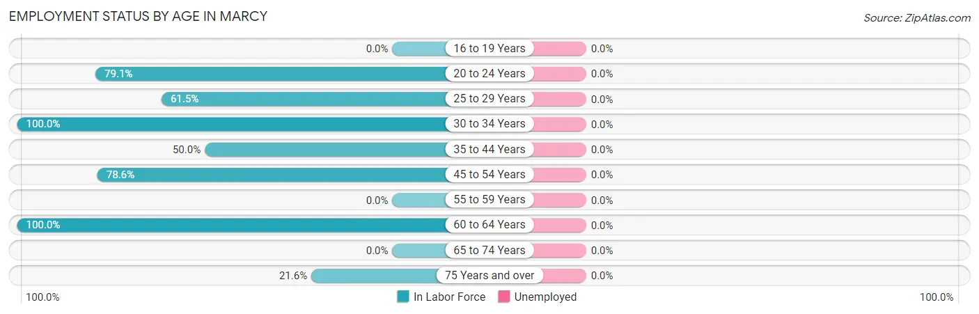 Employment Status by Age in Marcy