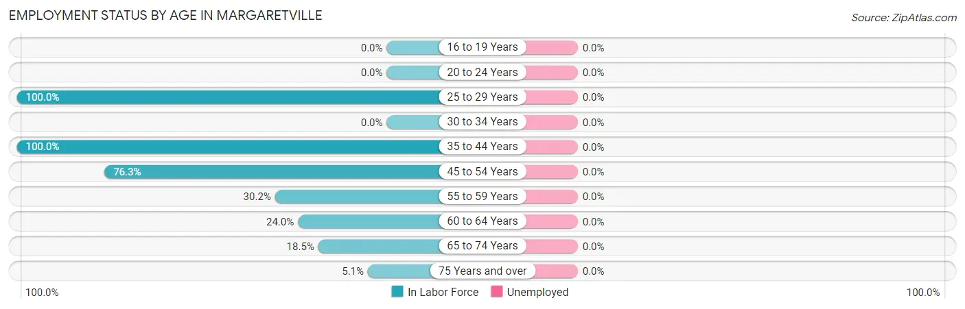 Employment Status by Age in Margaretville