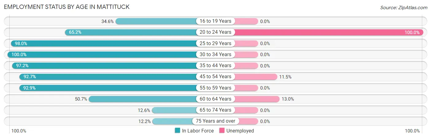 Employment Status by Age in Mattituck