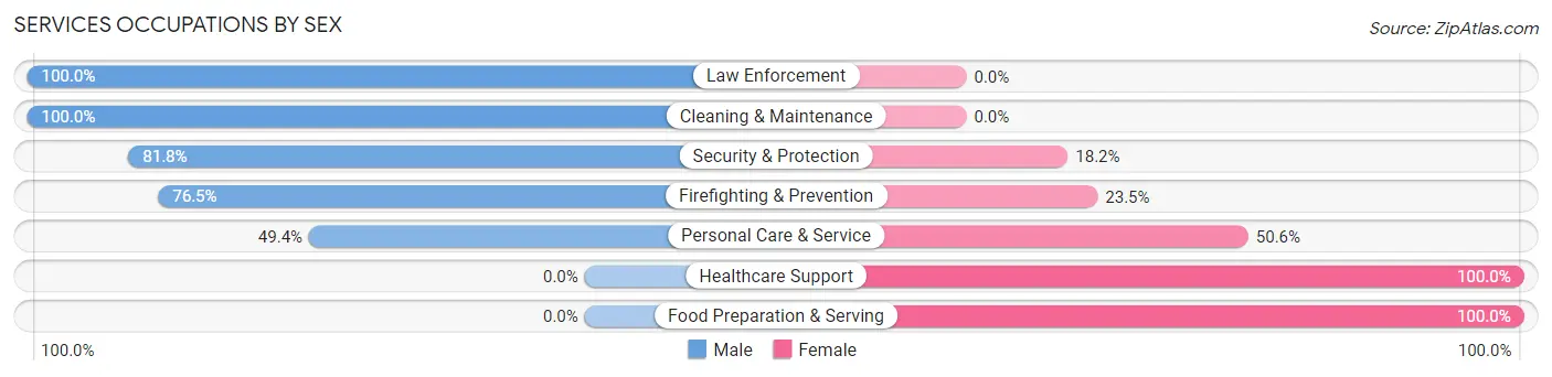 Services Occupations by Sex in Mattituck