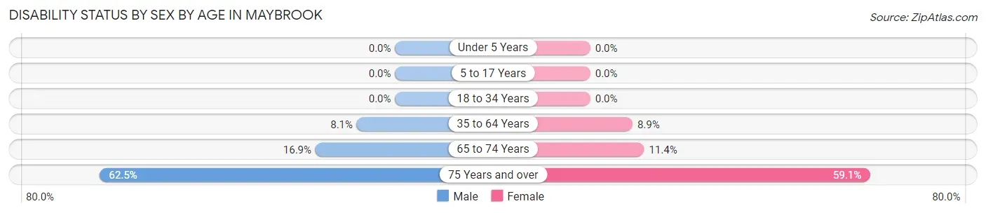 Disability Status by Sex by Age in Maybrook