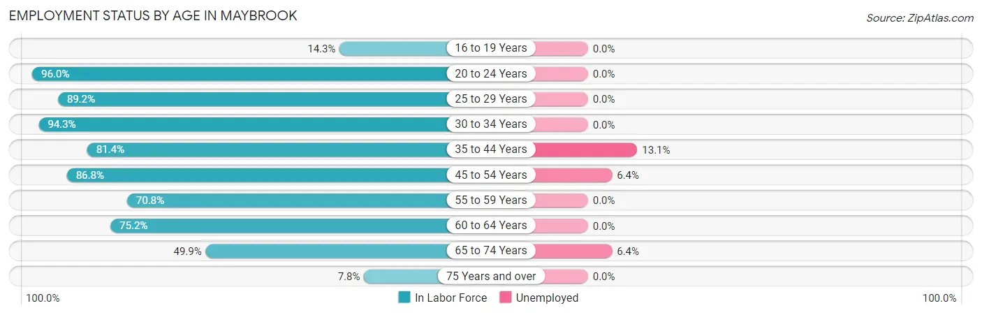 Employment Status by Age in Maybrook