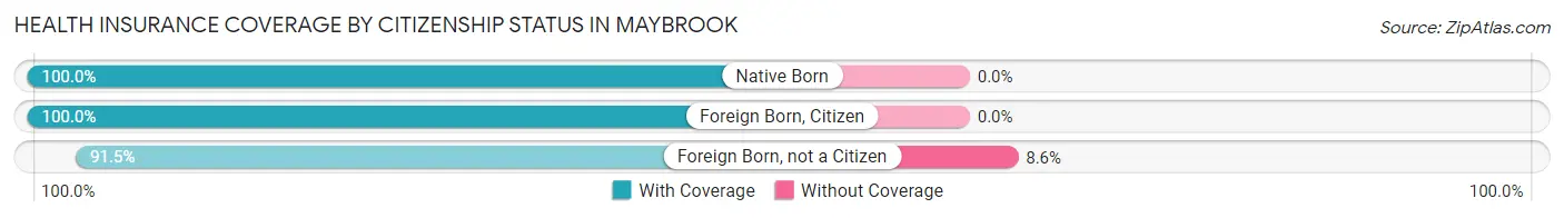 Health Insurance Coverage by Citizenship Status in Maybrook