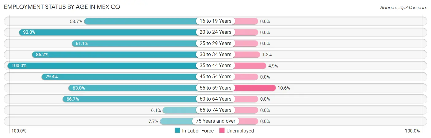 Employment Status by Age in Mexico