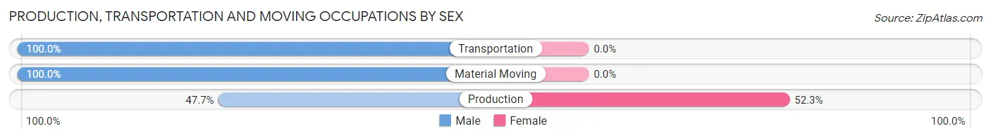 Production, Transportation and Moving Occupations by Sex in Mineola