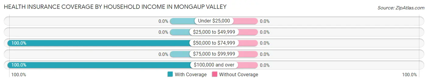 Health Insurance Coverage by Household Income in Mongaup Valley