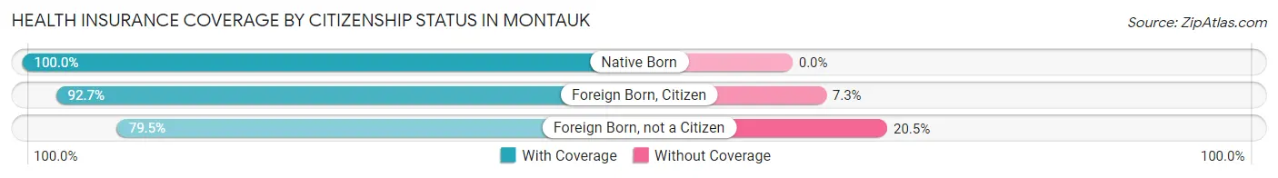 Health Insurance Coverage by Citizenship Status in Montauk