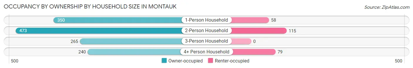 Occupancy by Ownership by Household Size in Montauk