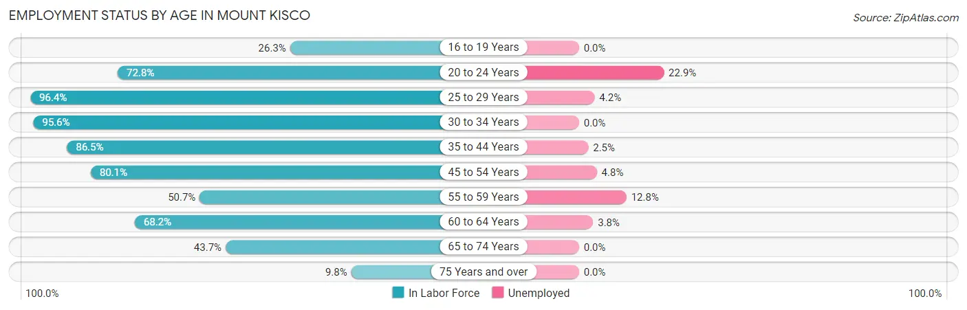 Employment Status by Age in Mount Kisco