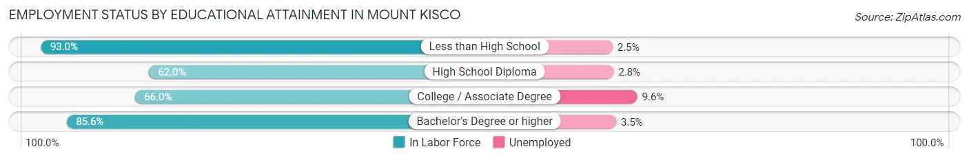 Employment Status by Educational Attainment in Mount Kisco