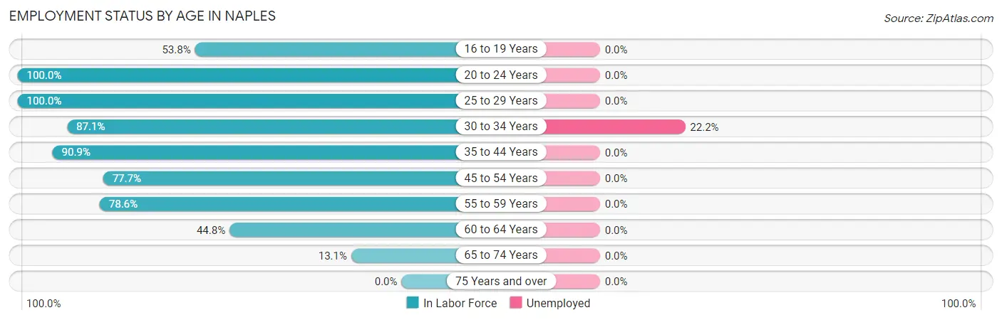 Employment Status by Age in Naples