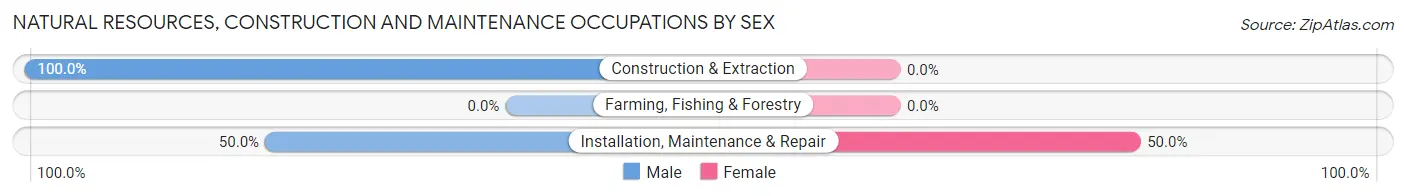 Natural Resources, Construction and Maintenance Occupations by Sex in Naples