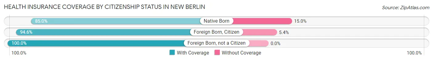 Health Insurance Coverage by Citizenship Status in New Berlin