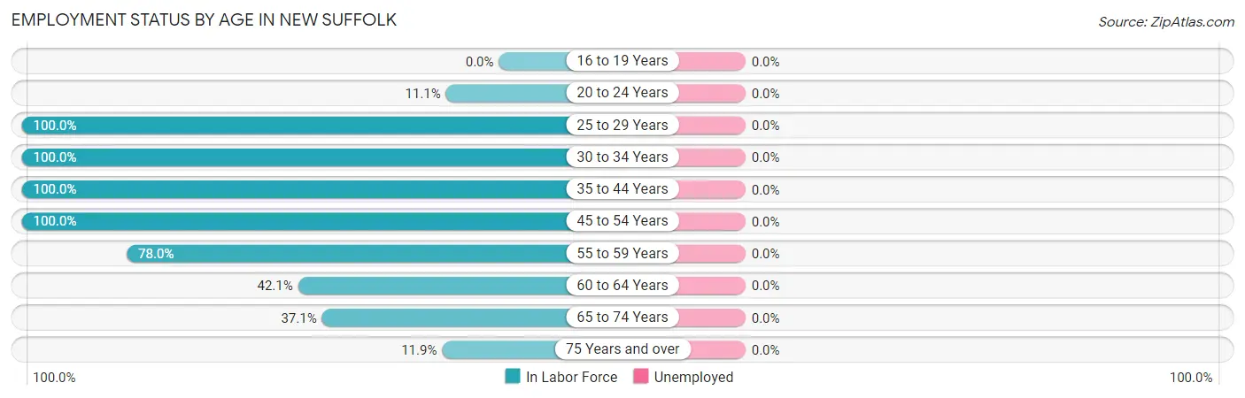 Employment Status by Age in New Suffolk