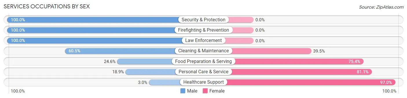 Services Occupations by Sex in New Windsor