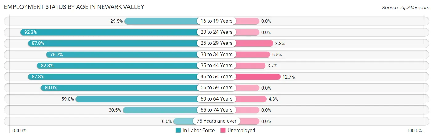Employment Status by Age in Newark Valley