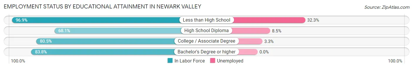 Employment Status by Educational Attainment in Newark Valley