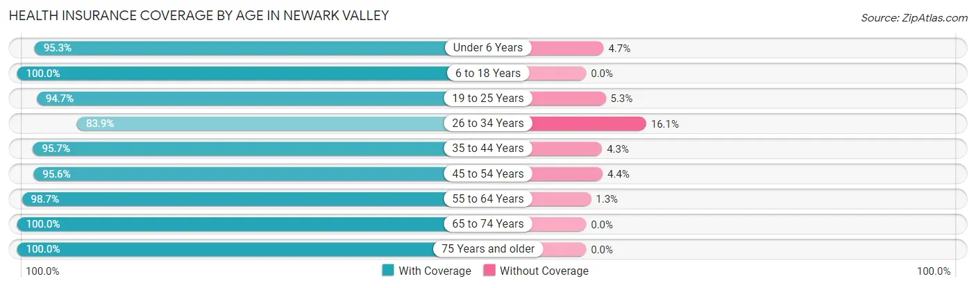 Health Insurance Coverage by Age in Newark Valley