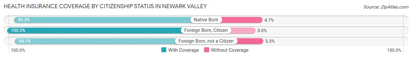 Health Insurance Coverage by Citizenship Status in Newark Valley