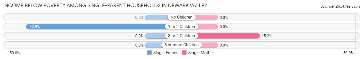 Income Below Poverty Among Single-Parent Households in Newark Valley