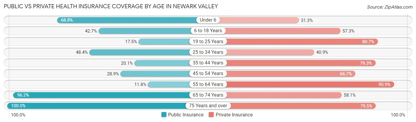 Public vs Private Health Insurance Coverage by Age in Newark Valley