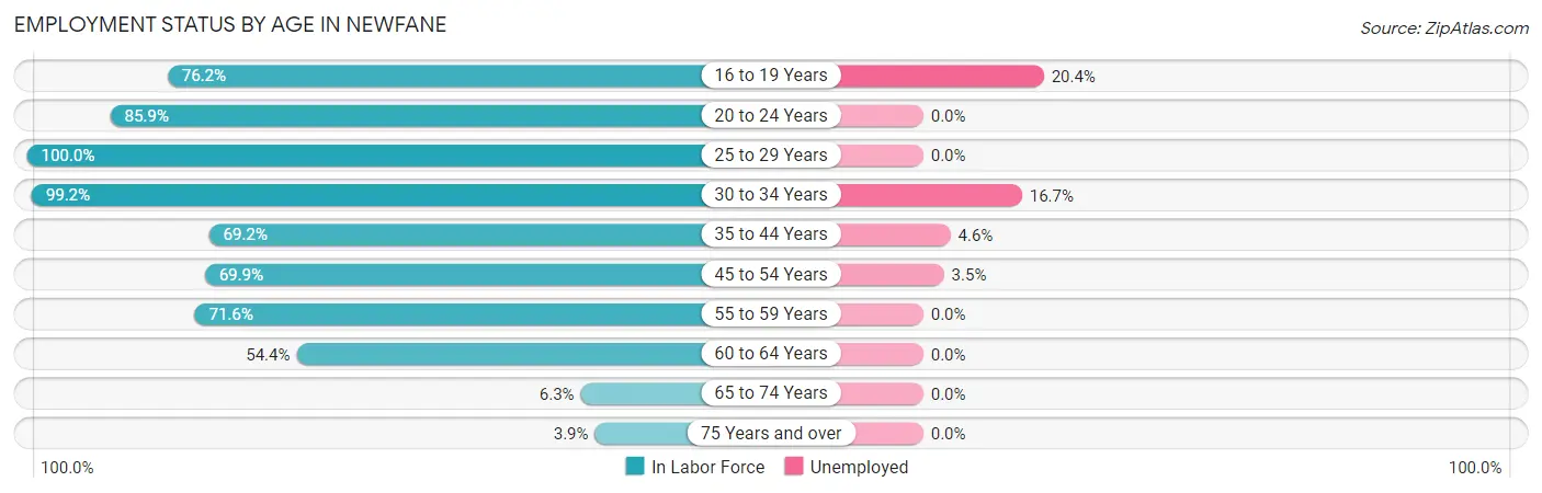 Employment Status by Age in Newfane