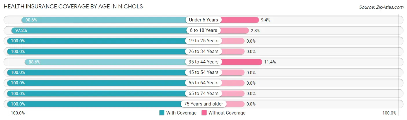 Health Insurance Coverage by Age in Nichols