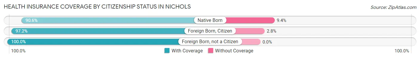 Health Insurance Coverage by Citizenship Status in Nichols