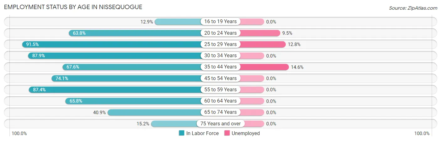 Employment Status by Age in Nissequogue