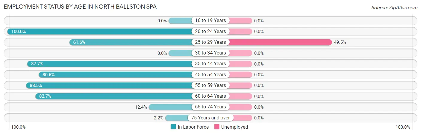 Employment Status by Age in North Ballston Spa