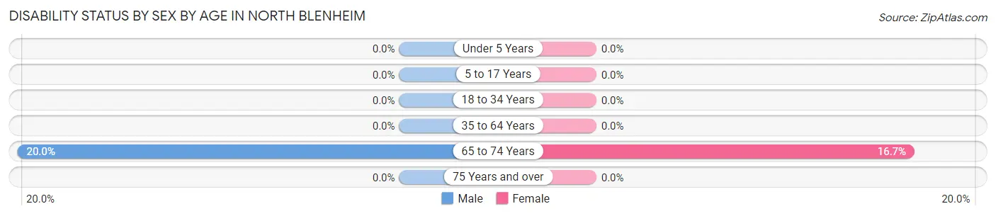 Disability Status by Sex by Age in North Blenheim