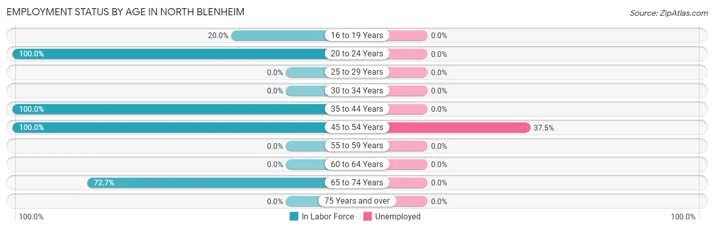 Employment Status by Age in North Blenheim
