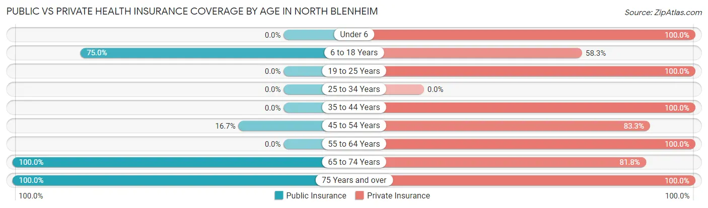 Public vs Private Health Insurance Coverage by Age in North Blenheim