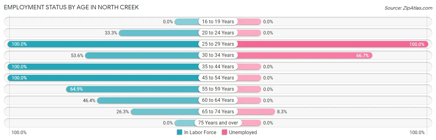 Employment Status by Age in North Creek