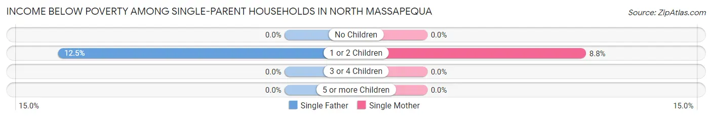 Income Below Poverty Among Single-Parent Households in North Massapequa