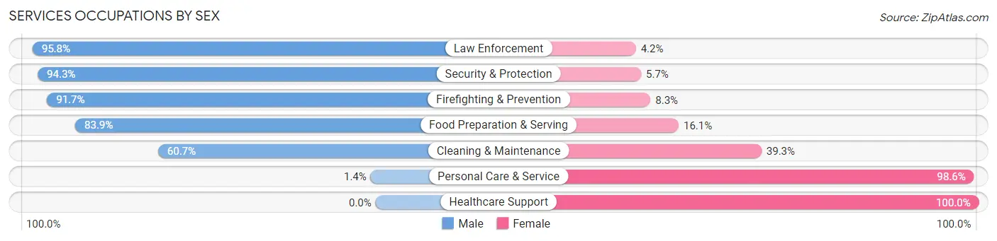 Services Occupations by Sex in North Valley Stream