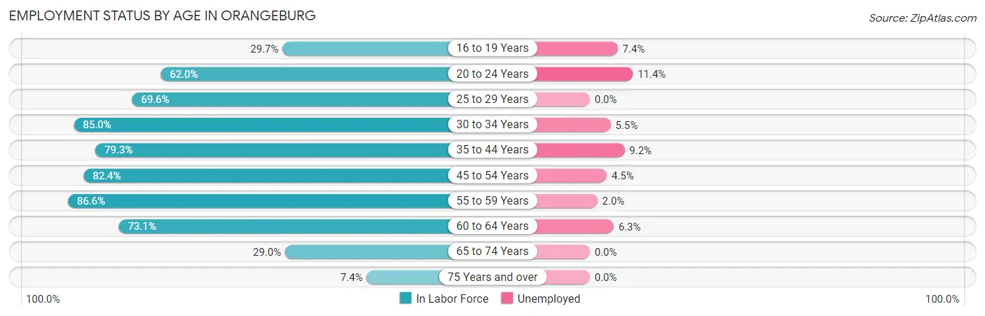Employment Status by Age in Orangeburg
